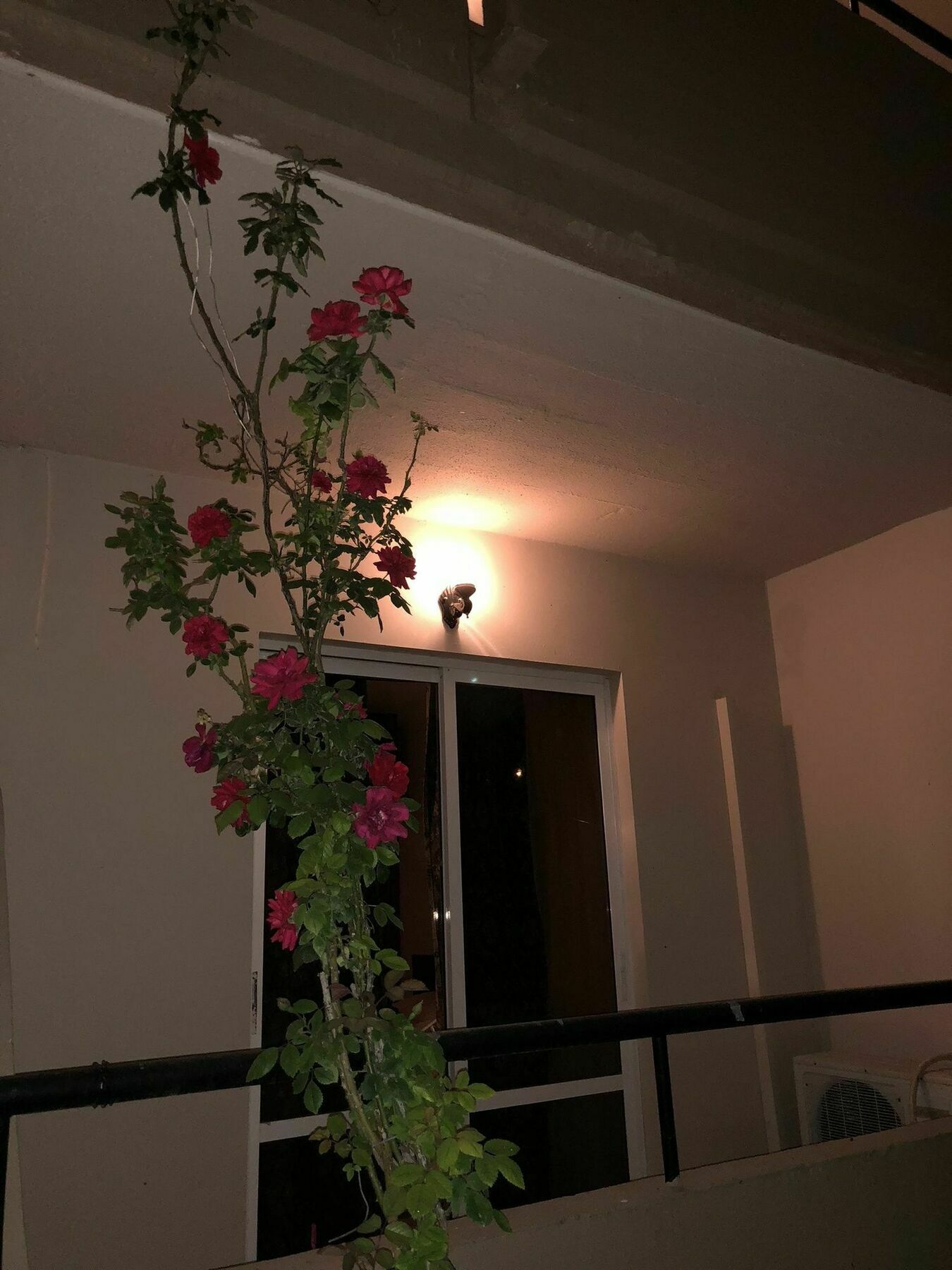 מלון פליראקי Jimmy'S Garden מראה חיצוני תמונה